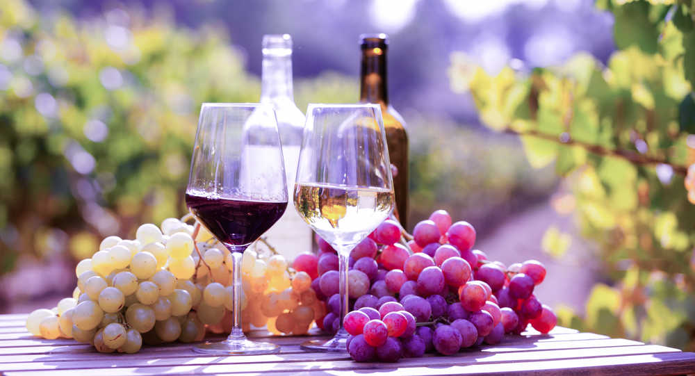 vin-sans-alcool-boire-moins-degustation