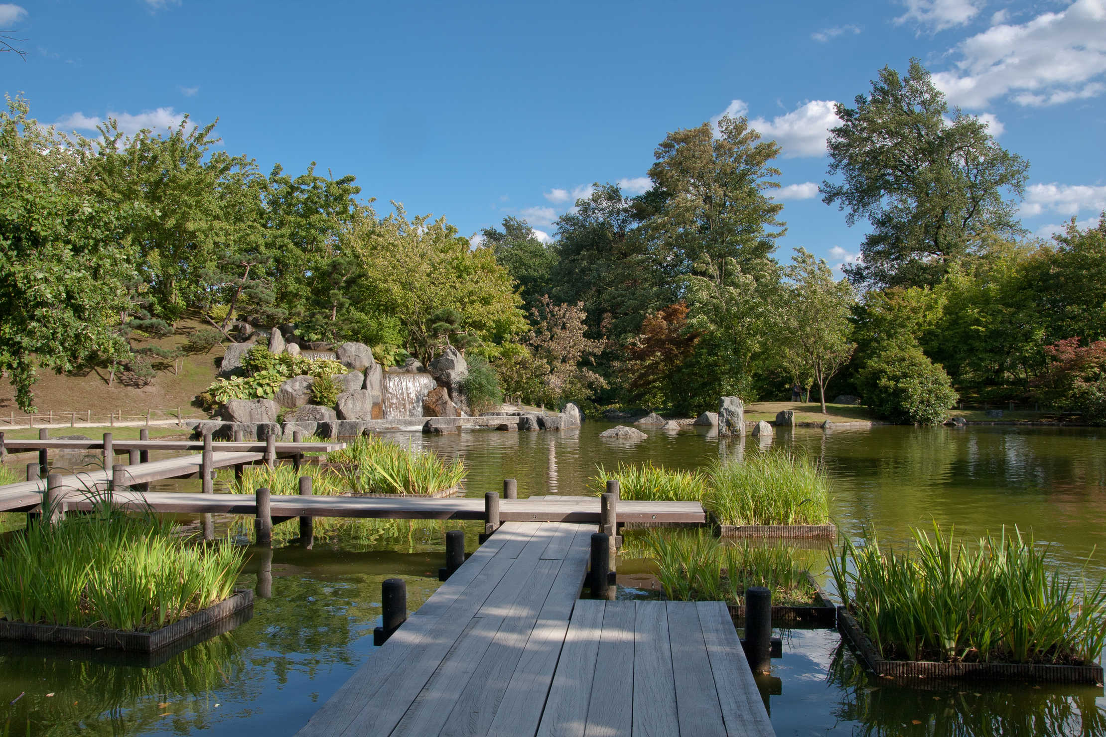 jardin japonais hasselt