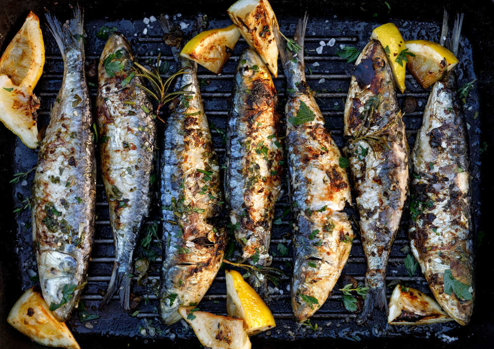 BBQ-Sardine