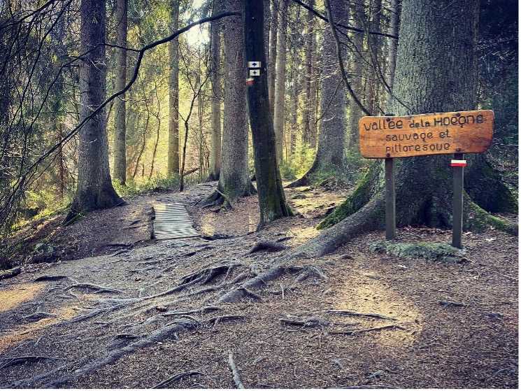 vallée-de-la-hoëgne-promenade-belgique-sentier