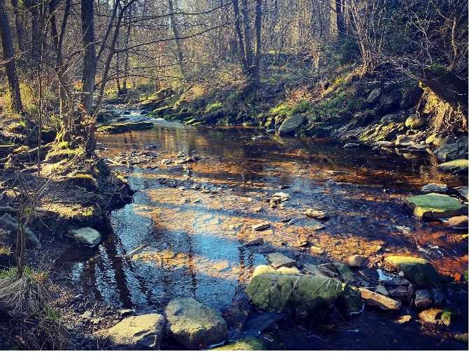 de-vallei-van-de-hoegne-rivier-mooiste-wandeling-3