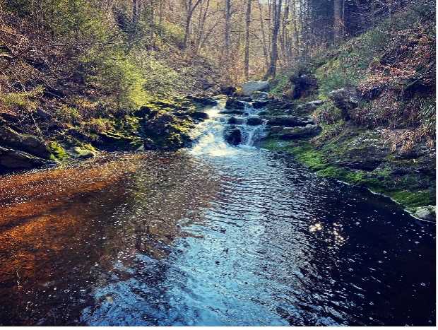 vallee-de-la-hoegne-promenade-riviere